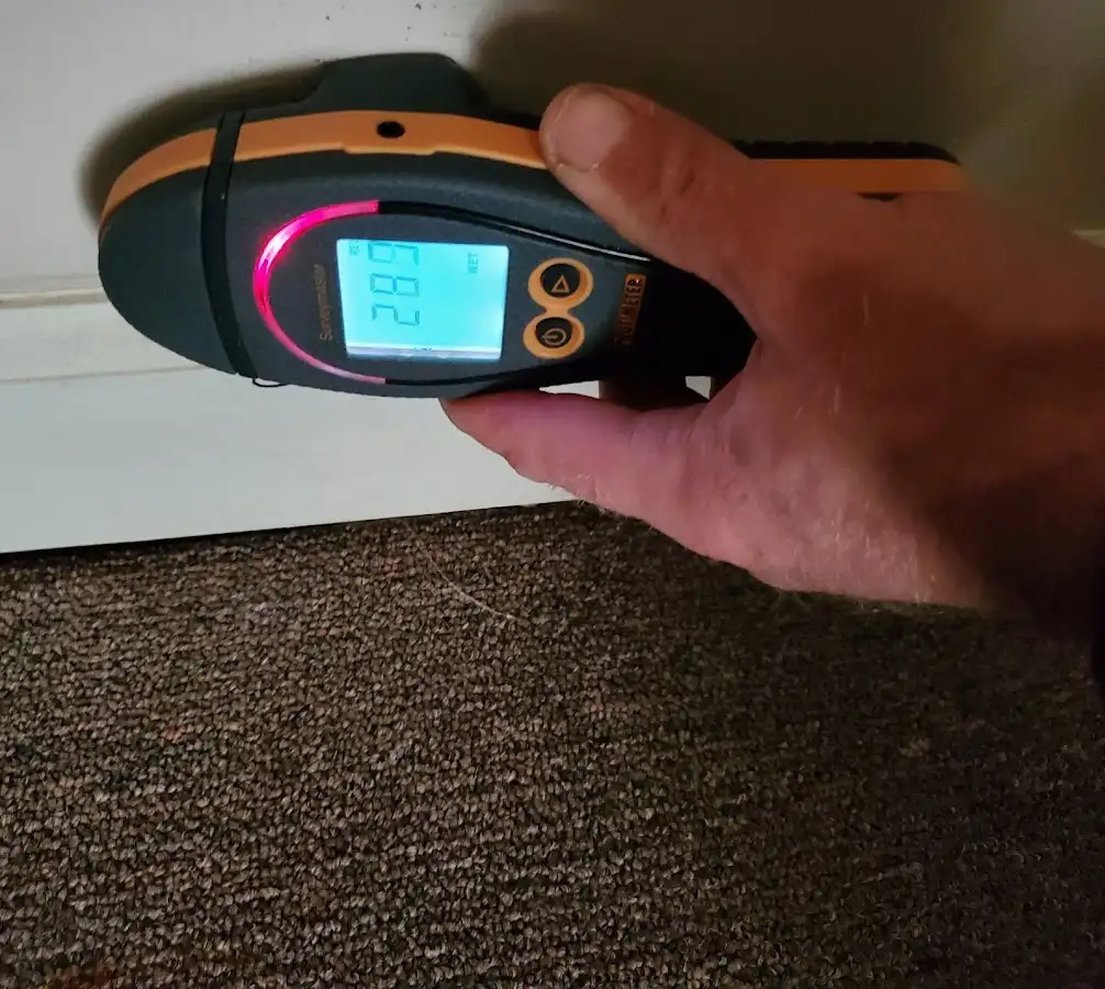 Moisture detection at baseboard during Sewage Cleanup & Sanitation in Bolton
